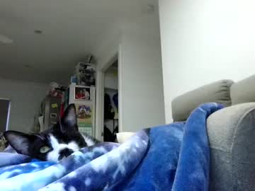 aussie_ozzie