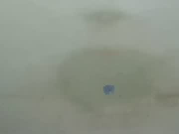 easilyteased