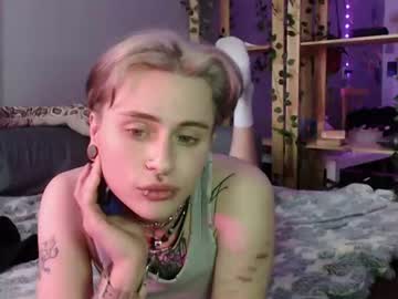 finx_meow