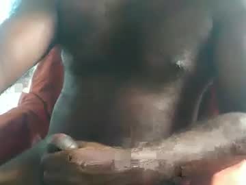 mallubulldick